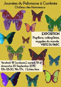 Poster papillons A4 moyenne def